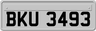 BKU3493
