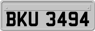 BKU3494
