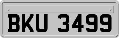 BKU3499