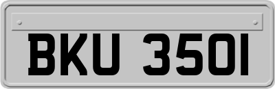 BKU3501