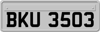BKU3503