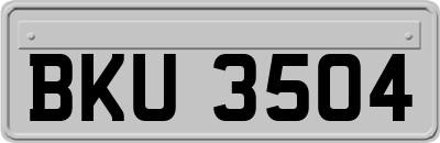 BKU3504