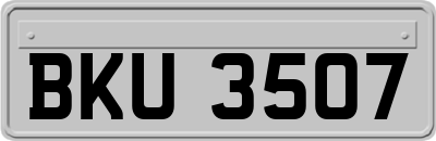 BKU3507