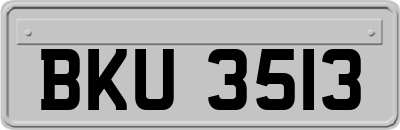 BKU3513