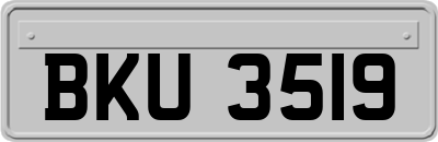 BKU3519
