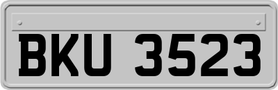 BKU3523