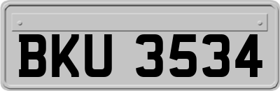 BKU3534