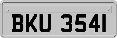 BKU3541