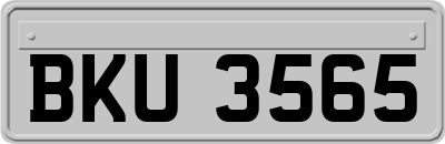 BKU3565