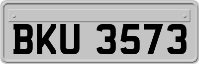 BKU3573