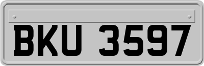 BKU3597