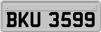 BKU3599