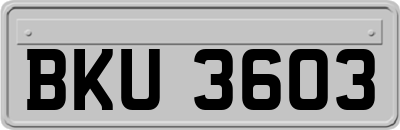 BKU3603