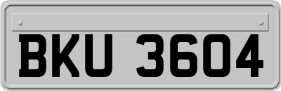 BKU3604