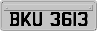 BKU3613