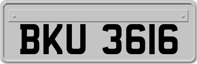 BKU3616