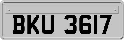 BKU3617
