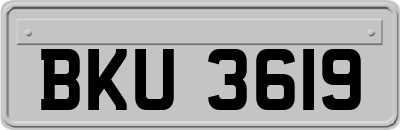 BKU3619