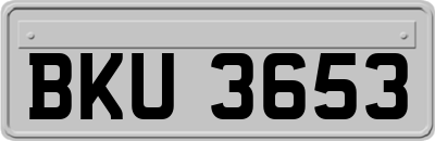 BKU3653