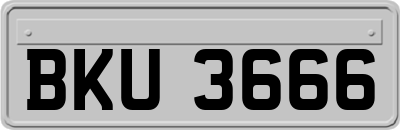 BKU3666