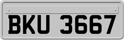 BKU3667