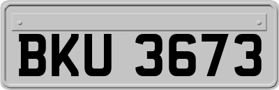 BKU3673