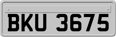 BKU3675
