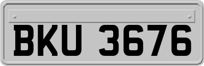 BKU3676