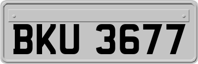 BKU3677