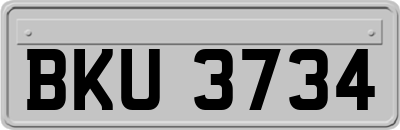 BKU3734