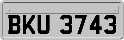 BKU3743
