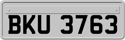 BKU3763