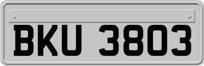BKU3803