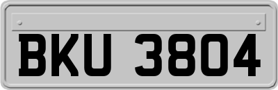 BKU3804