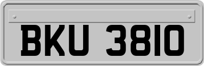 BKU3810