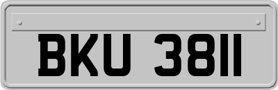 BKU3811