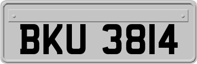 BKU3814