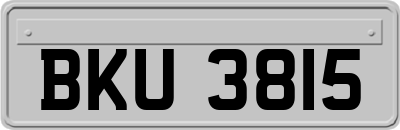 BKU3815