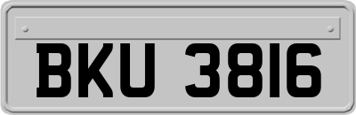 BKU3816