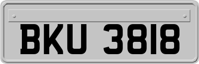 BKU3818