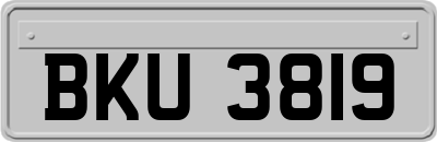 BKU3819