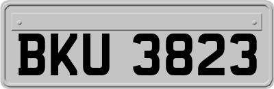 BKU3823