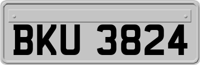 BKU3824