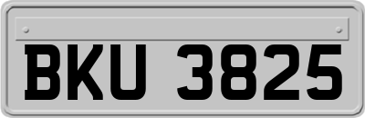BKU3825
