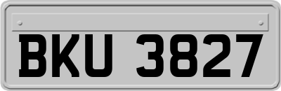 BKU3827