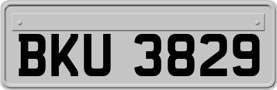 BKU3829
