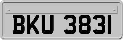 BKU3831