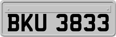 BKU3833