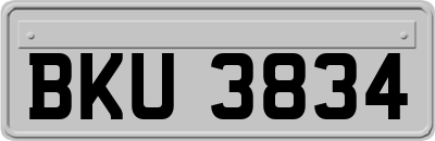 BKU3834