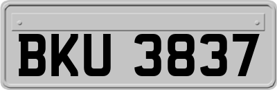 BKU3837
